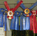 blue ribbons